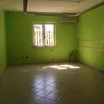 La Piccola Scuola *
